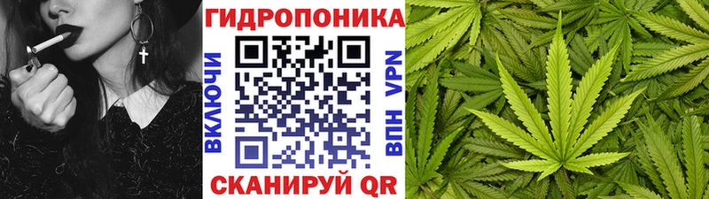 Канабис конопля  Нахабино 